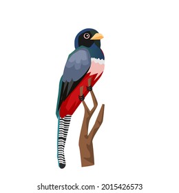 Blue-crowned Trogon perched on a branch.Isolated vector illustration on a white background.