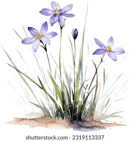 Blue-eyed Grass Watercolor illustration. Hand drawn underwater element design. Artistic vector marine design element. Illustration for greeting cards, printing and other design projects.