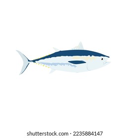Bluefin tuna, Thunnus thynnus image, vector design