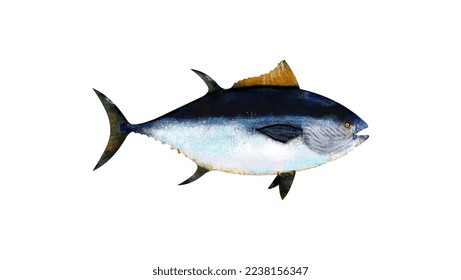 bluefin tuna vector original high quality colorized silhouette profile