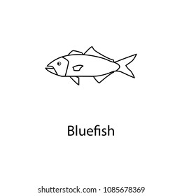 bluefish icon. Element of marine life for mobile concept and web apps. Thin line bluefish icon can be used for web and mobile. Premium icon on white background