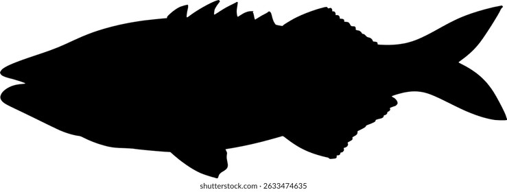 Bluefish Silhouette Vector Shadow Illustration