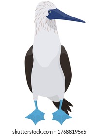 Blue-footed booby in cartoon style. Funny ocean bird.