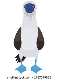 Blue-footed booby front view. Ocean bird in cartoon style.