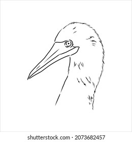 The blue-footed booby Line drawing. Black and white illustration. Vector.