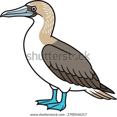Blue-footed booby rare seabird flat vector illustration isolated on white background wildlife design

