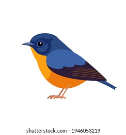 Blue-fronted redstart is a species of bird in the family Muscicapidae, the Old World flycatchers. Phoenicurus frontalis. Exotic Blue Bird Cartoon flat vector illustration isolated on white.