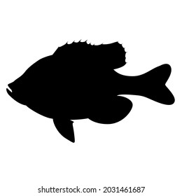 bluegill fish, vector illustration,  black silhouette, side view