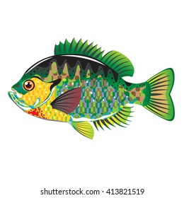 Bluegill Panfish Vector