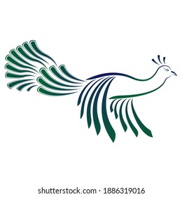 Blue-green flying peacock pattern vector illustration On a white background