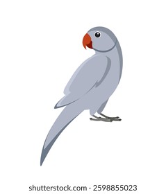 Blue-grey Indian parrot, vector eps 10