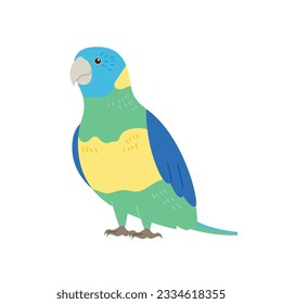 A blue-headed parrot. simple hand drawn style bird illustration
