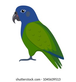 Blue-headed pionus parrot icon in flat style. Exotic tropical bird symbol on white background.