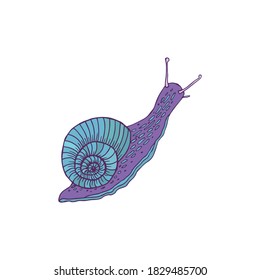 Blue-lilac snail. cartoon character spiral decorative element.