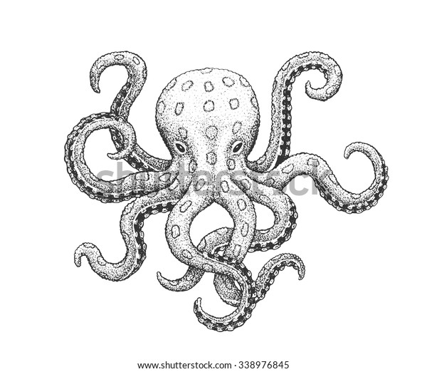 Blueringed Octopus Classic Drawn Ink Illustration Stock Vector (Royalty ...