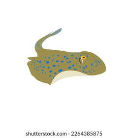 The bluespotted ribbontail ray, Blue spotted fan tail ray, Taeniura lymma vector design, png high quality image with transparent background