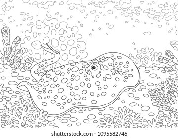 Blue-spotted stingray among corals on the bottom of a tropical sea, black and white vector illustration in a cartoon style for a coloring book