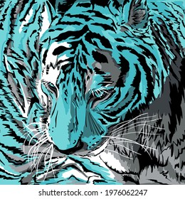 Blue-teal winter tiger animal. Graphic vector illustration. Water tiger symbol of New year 2022. 