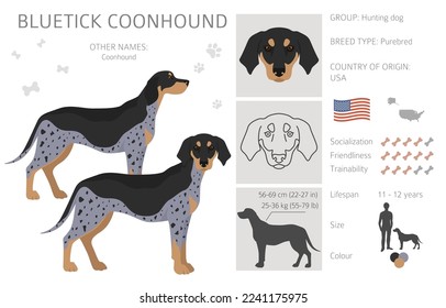 Bluetick coonhound clipart. Different coat colors and poses set.  Vector illustration