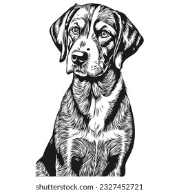 Bluetick Coonhound perro línea de dibujo vector, ilustración dibujada a mano con fondo transparente