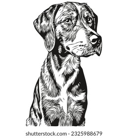 Bluetick Coonhound dog outline pencil drawing artwork, black character on white background sketch drawing