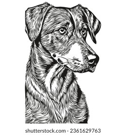 Bluetick Coonhound dog outline pencil drawing artwork, black character on white background