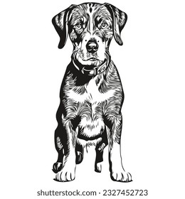 Bluetick Coonhound dog t shirt print blanco y negro, lindo lindo contorno de dibujo vector raza realista mascota