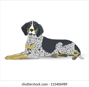  bluetick hound illustration| Editable Illustration