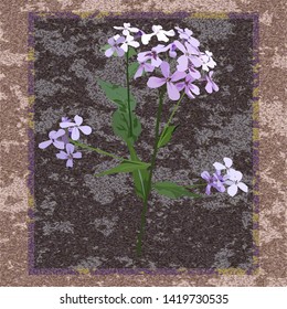 
Blue-violet small flowers, branch. Background - brown, with beige splashes. Frame - dark shades. Postcard, picture, design element. Stylish postcard in calm natural shades. 