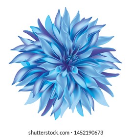 Bluish dahlia flower isolated on white background in vector illustration