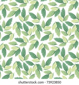 Is bluish green leaves