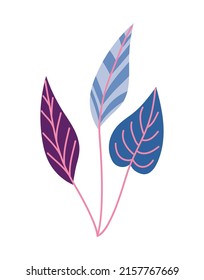 bluish leaves on a stem over white