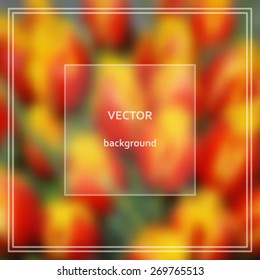 Blur abstract background. Blurred image beautiful flower.