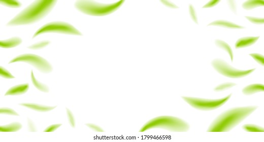 blur fallen leaves green fresh, leaf fall for natural banner background, flying leaf on white, copy space