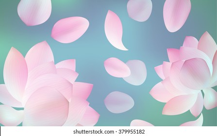 Blur pink panoramic background with pink petal of lotus and flower editable on blue blur background