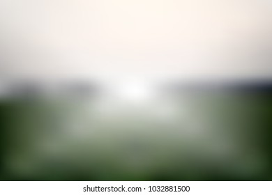 blur white and green background