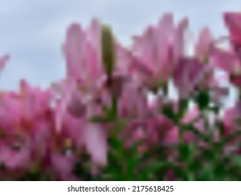 Ilustración Del Vector De Fondo De La Ciudad Borrosa Abstracta Con Flores En El Jardín