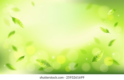 Blurred abstract gradient green background with leaves and bokeh. Natural horizontal eco banner with copy space. Vector illustration.