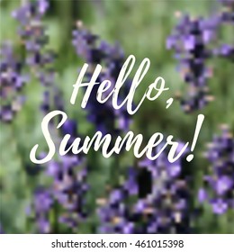 Blurred background with lavender flowers and text "Hello Summer!!". Modern unfocused  summer pattern with lettering.
