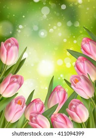 Blurred background of Pink colored tulips. EPS 10 vector file included
