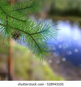 blurred background with summer landscape and realistic pine-tree branches