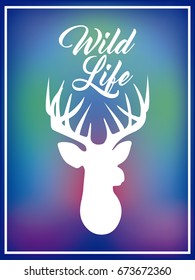 blurred background wild life deer