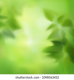 blurred bright green background with leafs