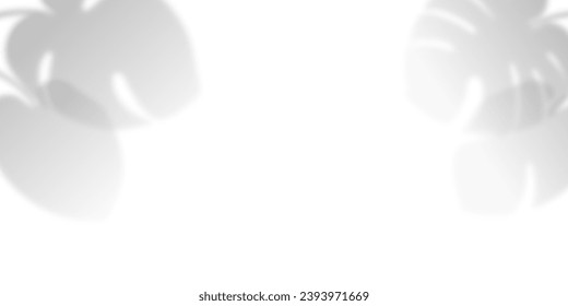 Blurred effect of monstera leaves overlay. Foliage with sunlight. Presentation with mock up, copy space, template. Realistic plant. Tropical tree leaf. White background. Vector illustration