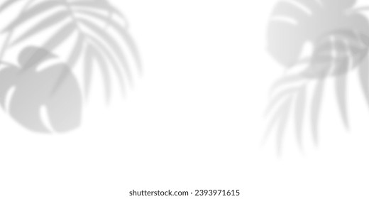 Blurred effect of palm and monstera leaves overlay. Foliage with sunlight. Presentation with mock up, copy space, template. Realistic plant. Tropical tree leaf. White background. Vector illustration