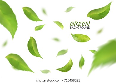 Blurred fresh flying green leaves, quality 3d imitation. Vector