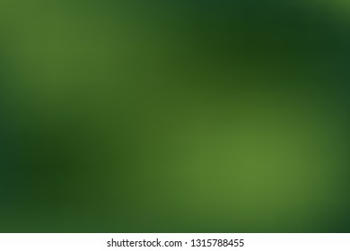 Blurred green backdrop. Defocused Abstract Background