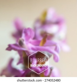 Blurred image.Abstract background for design