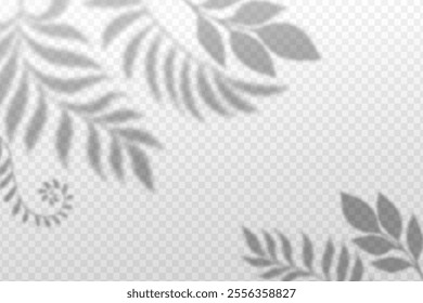  Blurred leaves with shadow effect. Nature background with transparency. 