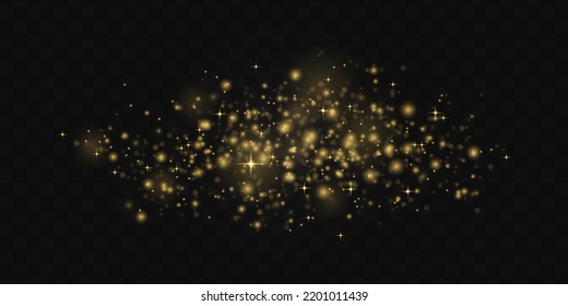 Blurred lights isolated on transparent background. Fine, shiny dust bokeh particles fall off slightly. Blur sparks and golden stars sparkle shine with special light. Christmas concept. Vector